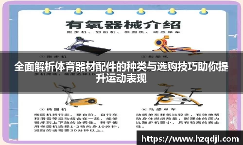 全面解析体育器材配件的种类与选购技巧助你提升运动表现